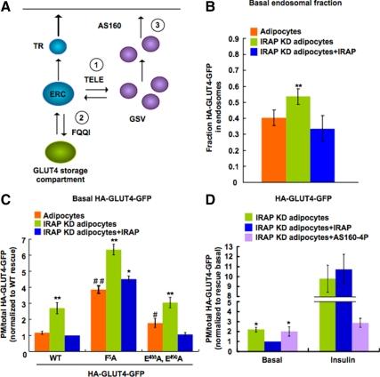 https://cdn.ncbi.nlm.nih.gov/pmc/blobs/d6f6/2883947/020a7c4a5acf/zmk0121094740005.jpg