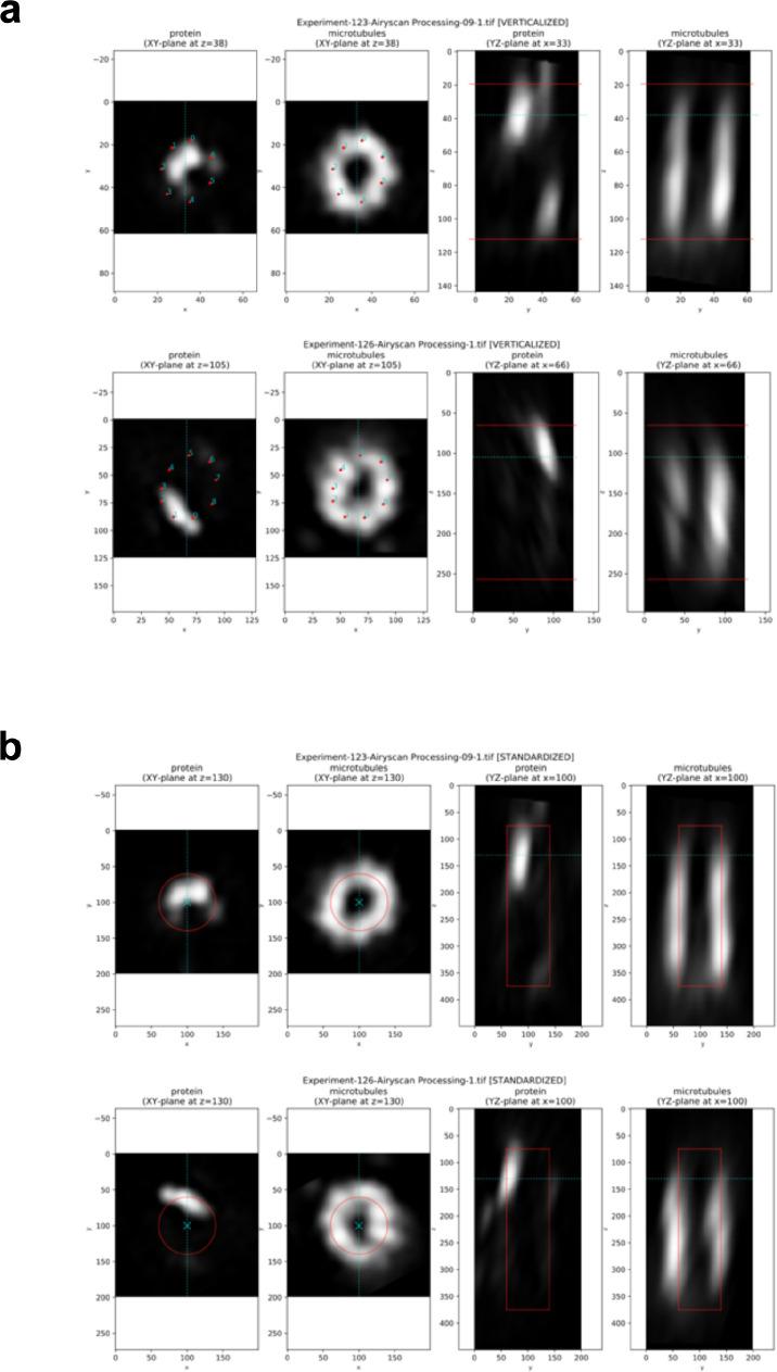 https://cdn.ncbi.nlm.nih.gov/pmc/blobs/d6f8/8983040/ed31b2ec8584/elife-72382-fig1-figsupp2.jpg
