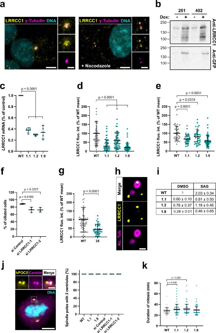https://cdn.ncbi.nlm.nih.gov/pmc/blobs/d6f8/8983040/f91ce08f94e5/elife-72382-fig1-figsupp1.jpg
