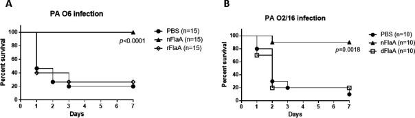 https://cdn.ncbi.nlm.nih.gov/pmc/blobs/d6fb/10929410/f3e1ed7ded8d/iai.00427-23.f005.jpg
