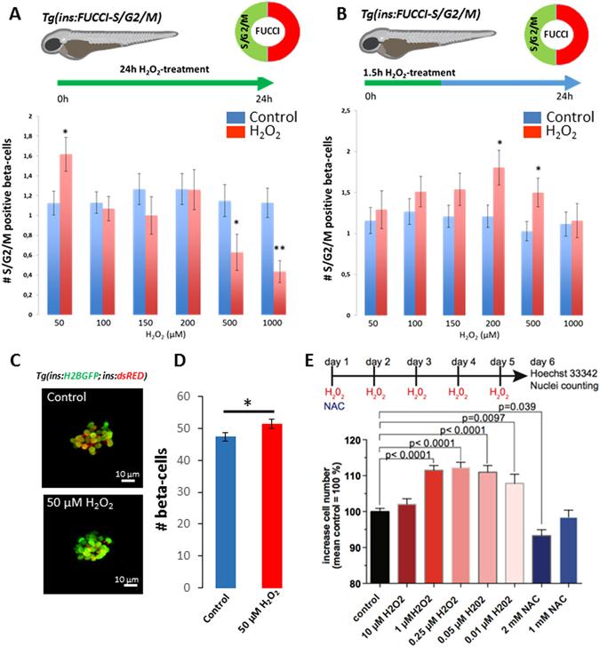 https://cdn.ncbi.nlm.nih.gov/pmc/blobs/d6fb/5484671/31b8d706c235/41598_2017_3873_Fig4_HTML.jpg