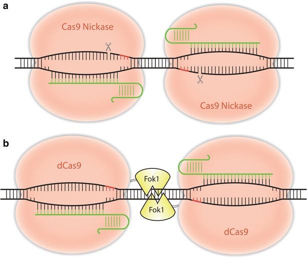 https://cdn.ncbi.nlm.nih.gov/pmc/blobs/d6ff/5404292/f936c01bd50e/13578_2017_148_Fig4_HTML.jpg