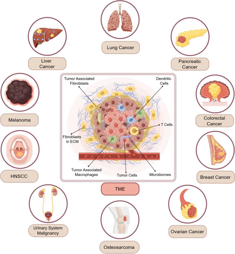 https://cdn.ncbi.nlm.nih.gov/pmc/blobs/d700/11807048/2b41348451b2/43556_2025_248_Fig1_HTML.jpg