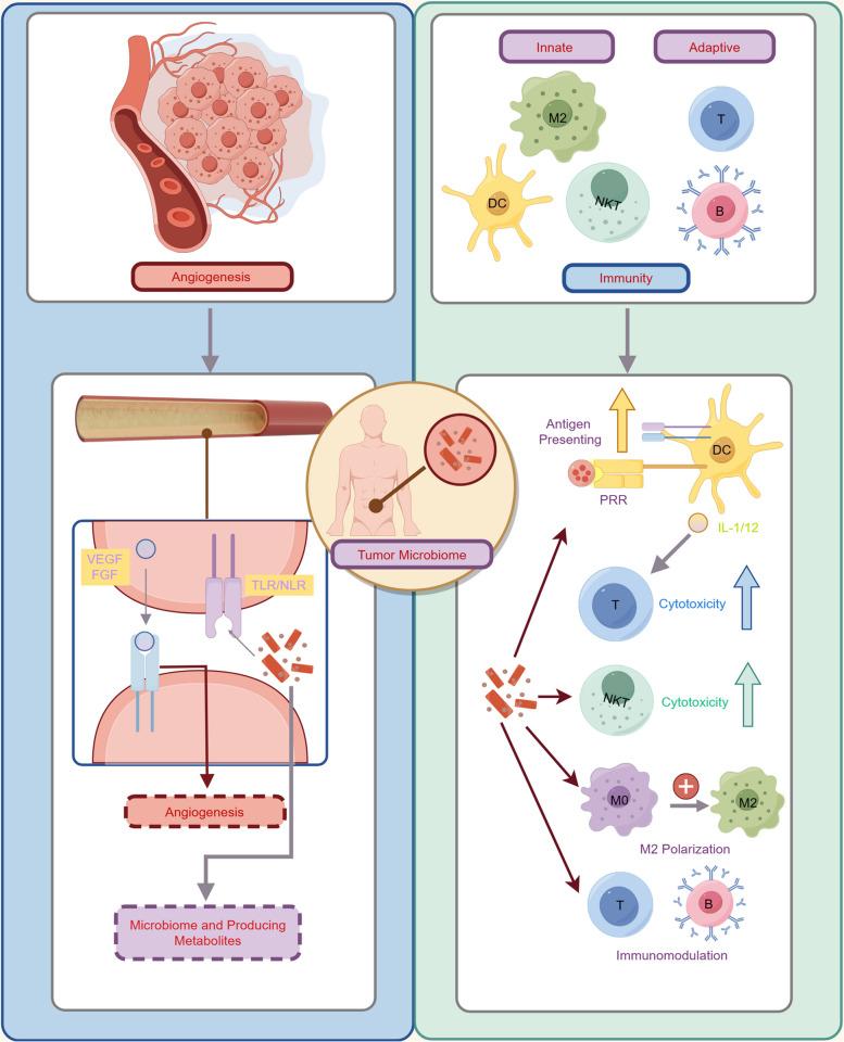 https://cdn.ncbi.nlm.nih.gov/pmc/blobs/d700/11807048/f7a0493c4c4d/43556_2025_248_Fig4_HTML.jpg