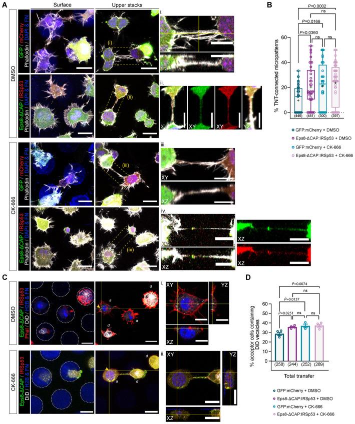 https://cdn.ncbi.nlm.nih.gov/pmc/blobs/d701/10711657/48cfad71add8/EMBJ-42-e113761-g001.jpg