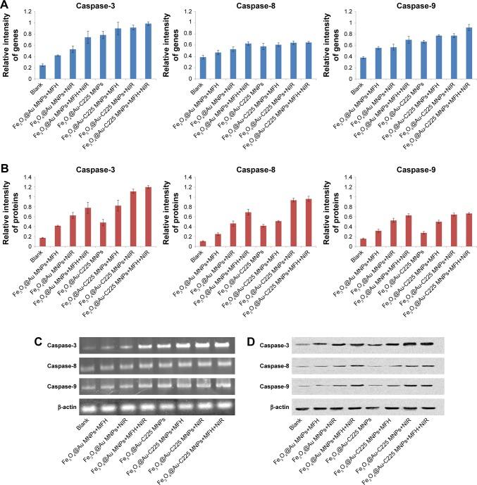 https://cdn.ncbi.nlm.nih.gov/pmc/blobs/d701/5922298/0b8c3f8dbc72/ijn-13-2491Fig8.jpg