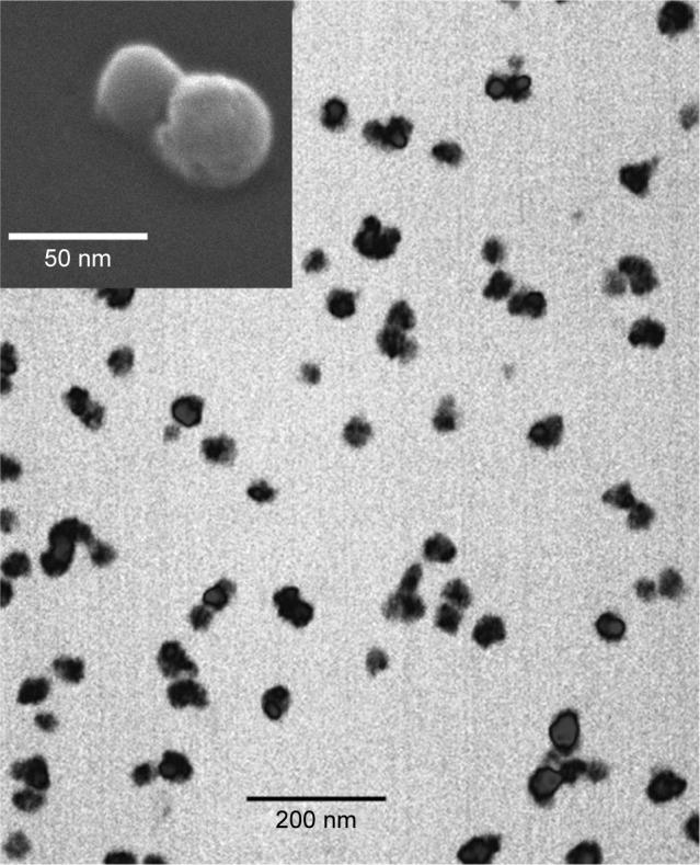 https://cdn.ncbi.nlm.nih.gov/pmc/blobs/d701/5922298/2b2ec74f6a50/ijn-13-2491Fig1.jpg