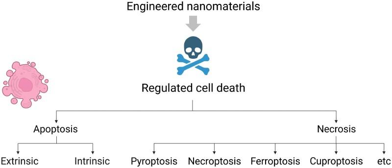 https://cdn.ncbi.nlm.nih.gov/pmc/blobs/d702/10109533/3a4fe1819562/kfad008f1.jpg