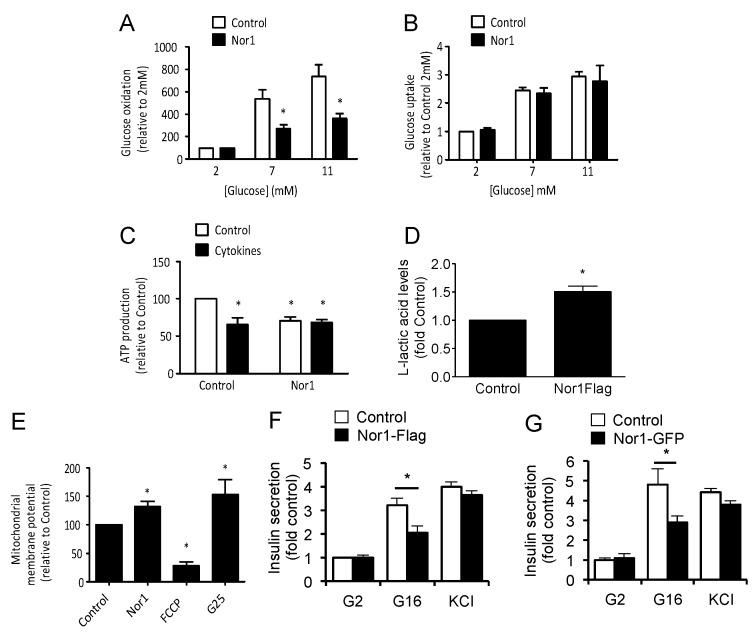 https://cdn.ncbi.nlm.nih.gov/pmc/blobs/d702/7017372/88c4d61e7096/cells-09-00168-g002.jpg