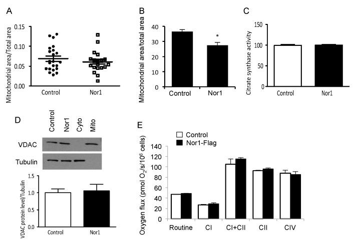 https://cdn.ncbi.nlm.nih.gov/pmc/blobs/d702/7017372/8f0ec4975955/cells-09-00168-g007.jpg