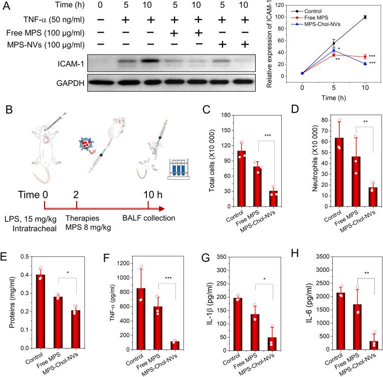 https://cdn.ncbi.nlm.nih.gov/pmc/blobs/d702/9973434/2f5e92b76514/gr5_lrg.jpg