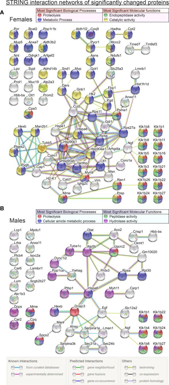 https://cdn.ncbi.nlm.nih.gov/pmc/blobs/d705/8292930/f3932139a1ed/fimmu-12-693911-g003.jpg