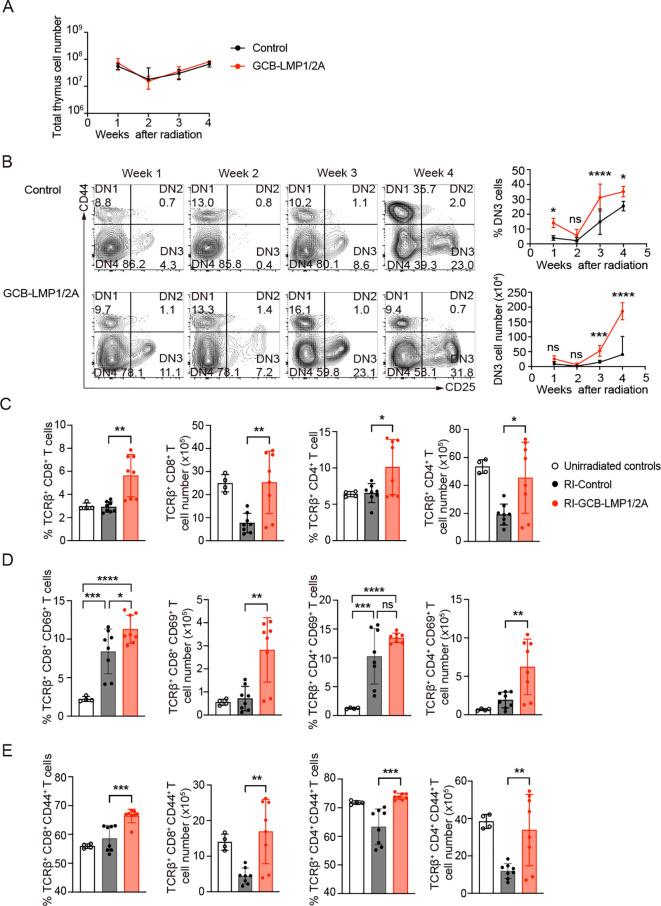 https://cdn.ncbi.nlm.nih.gov/pmc/blobs/d708/12174148/f53229fad53a/fimmu-16-1597731-g004.jpg
