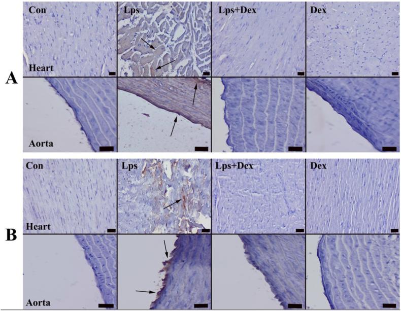 https://cdn.ncbi.nlm.nih.gov/pmc/blobs/d709/10806266/0c4cf8ee3ed6/gr3.jpg