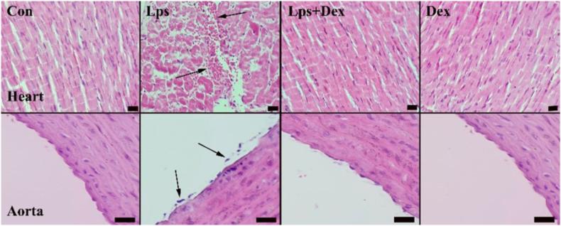 https://cdn.ncbi.nlm.nih.gov/pmc/blobs/d709/10806266/51a59959a3a6/gr2.jpg