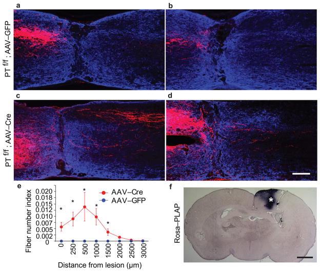 https://cdn.ncbi.nlm.nih.gov/pmc/blobs/d70c/2928871/16088ad9451a/nihms216979f6.jpg