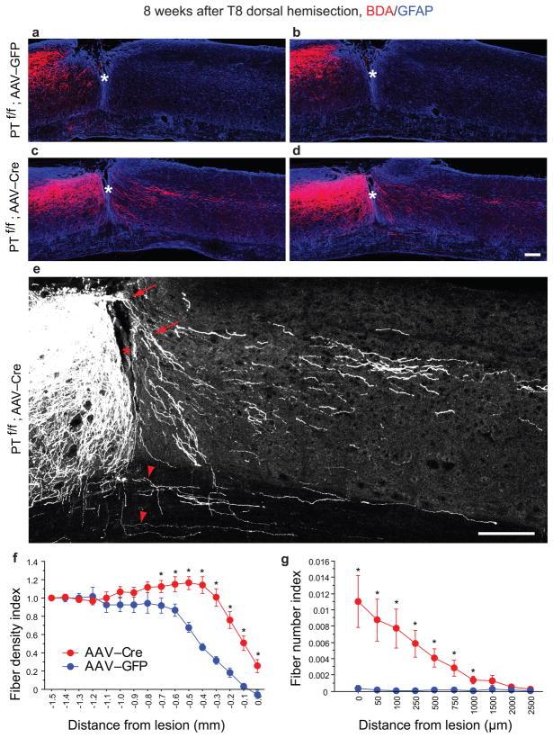 https://cdn.ncbi.nlm.nih.gov/pmc/blobs/d70c/2928871/4d26388e3071/nihms216979f4.jpg