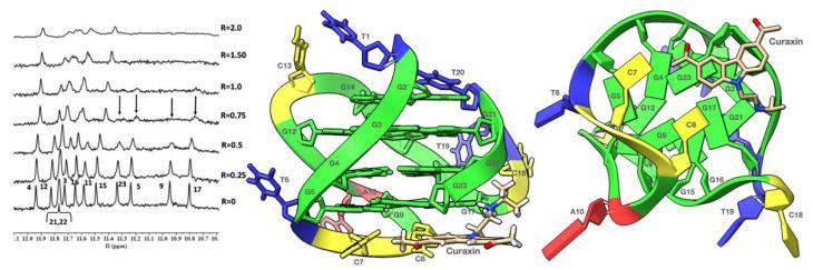 https://cdn.ncbi.nlm.nih.gov/pmc/blobs/d70c/9369712/c9aaa69e830d/molecules-27-04792-g003.jpg