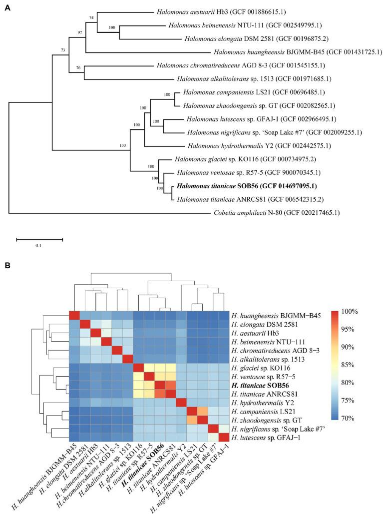https://cdn.ncbi.nlm.nih.gov/pmc/blobs/d70d/9237845/22063cbbd538/fmicb-13-888833-g001.jpg