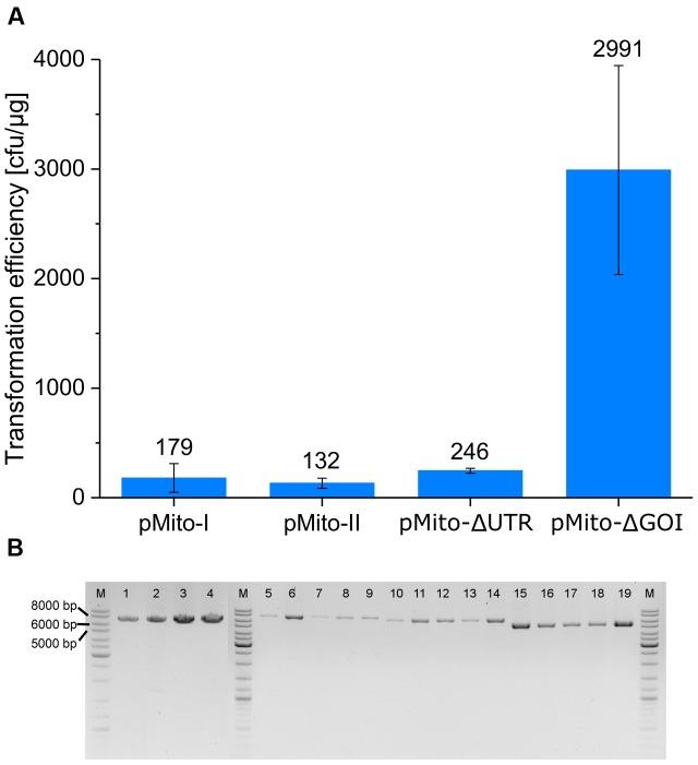 https://cdn.ncbi.nlm.nih.gov/pmc/blobs/d70e/5411459/4a2504d9a8ff/fmicb-08-00780-g005.jpg