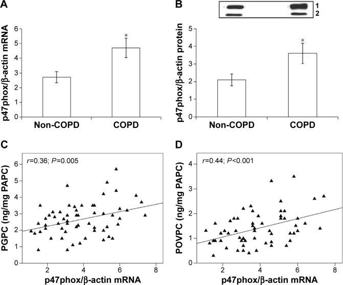 https://cdn.ncbi.nlm.nih.gov/pmc/blobs/d710/4968670/1c9b4753708d/copd-11-1733Fig5.jpg