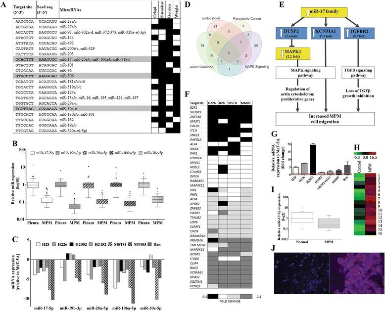 https://cdn.ncbi.nlm.nih.gov/pmc/blobs/d712/4888473/1c38d929806f/12943_2016_529_Fig2_HTML.jpg