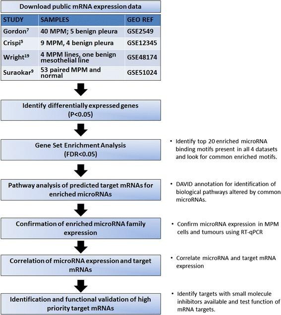 https://cdn.ncbi.nlm.nih.gov/pmc/blobs/d712/4888473/a25802b4eab6/12943_2016_529_Fig1_HTML.jpg
