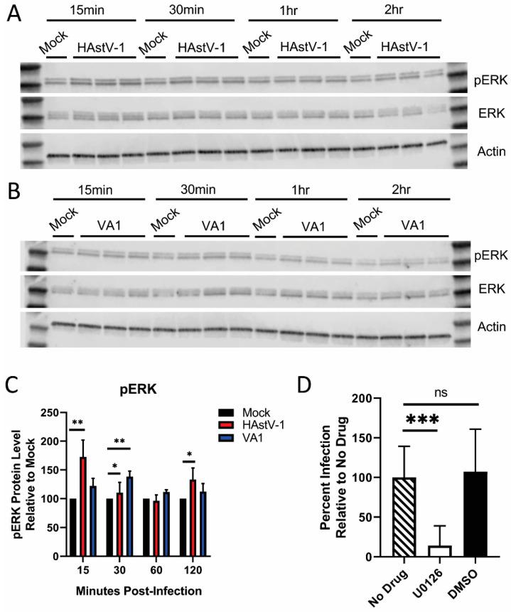 https://cdn.ncbi.nlm.nih.gov/pmc/blobs/d713/7997325/eafcf05d9e62/viruses-13-00376-g003.jpg