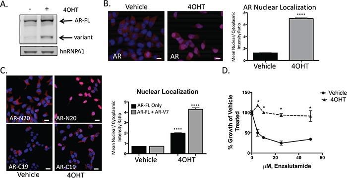 https://cdn.ncbi.nlm.nih.gov/pmc/blobs/d716/5226599/0a51fe783774/oncotarget-07-50507-g005.jpg