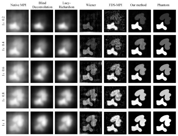 https://cdn.ncbi.nlm.nih.gov/pmc/blobs/d71b/11154287/9fd60ed47ab2/biology-13-00002-g006.jpg