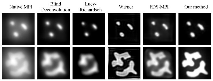 https://cdn.ncbi.nlm.nih.gov/pmc/blobs/d71b/11154287/d237940be1d7/biology-13-00002-g008.jpg