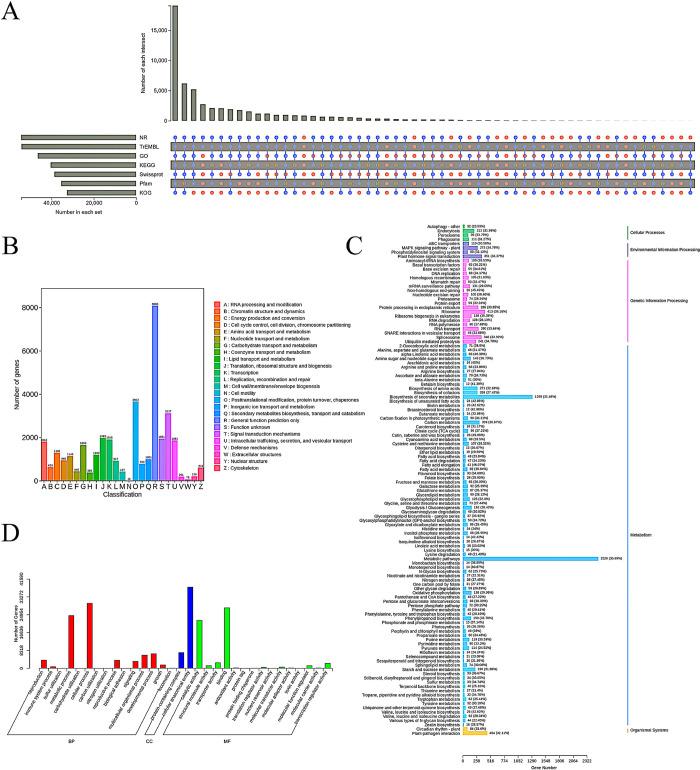 https://cdn.ncbi.nlm.nih.gov/pmc/blobs/d71c/12140110/3c8c4b92a774/pone.0318026.g003.jpg