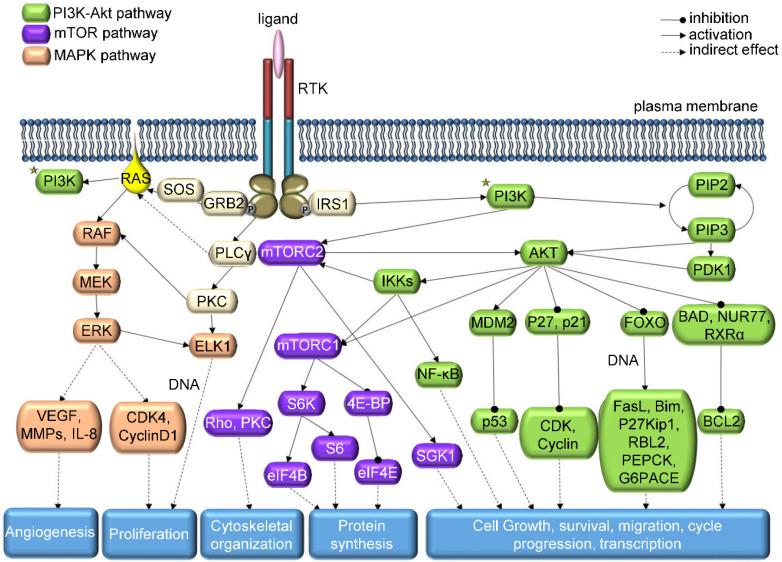 https://cdn.ncbi.nlm.nih.gov/pmc/blobs/d71c/7778595/b50980f0734d/thnov11p1546g001.jpg