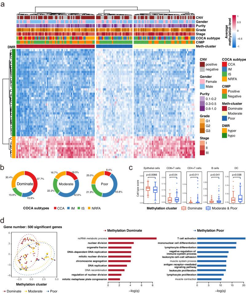 https://cdn.ncbi.nlm.nih.gov/pmc/blobs/d71d/11065998/1dd87c2c7104/41467_2024_47886_Fig6_HTML.jpg