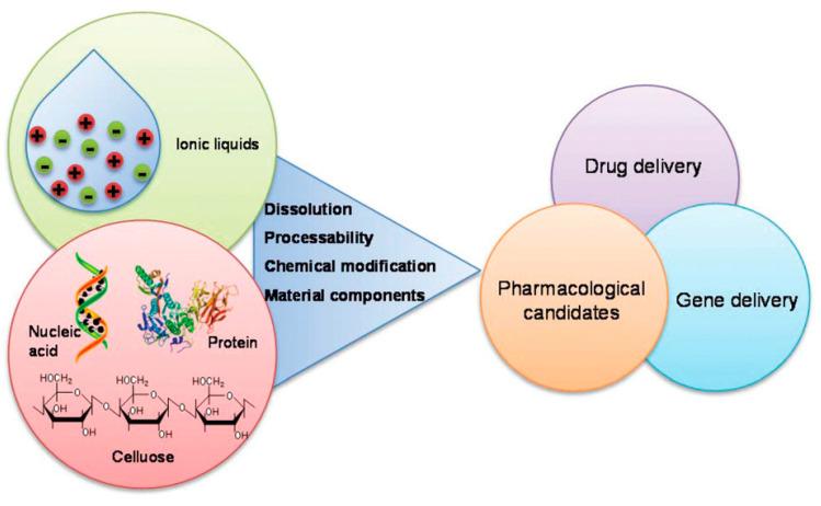 https://cdn.ncbi.nlm.nih.gov/pmc/blobs/d71f/8471968/7a221b254bf3/nanomaterials-11-02401-g004.jpg