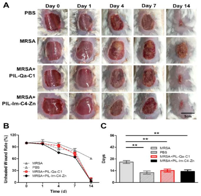 https://cdn.ncbi.nlm.nih.gov/pmc/blobs/d71f/8471968/7d079db7276f/nanomaterials-11-02401-g017.jpg