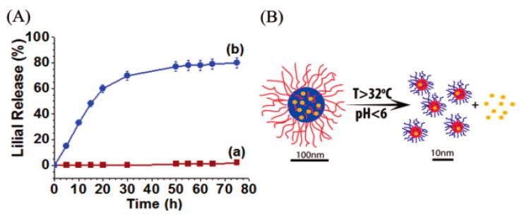 https://cdn.ncbi.nlm.nih.gov/pmc/blobs/d71f/8471968/b7f02e0720e8/nanomaterials-11-02401-g010.jpg