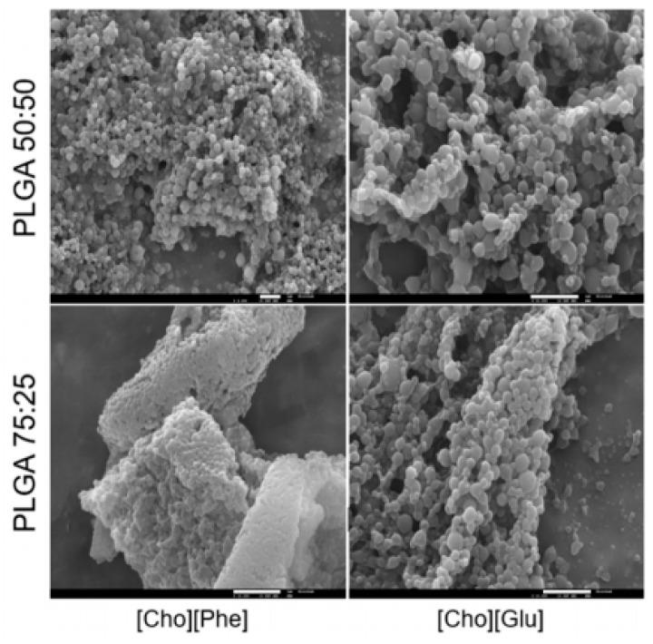https://cdn.ncbi.nlm.nih.gov/pmc/blobs/d71f/8471968/cea1841a14f0/nanomaterials-11-02401-g006.jpg