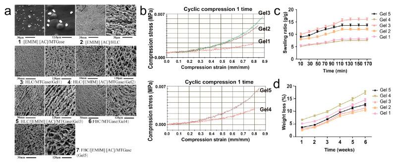 https://cdn.ncbi.nlm.nih.gov/pmc/blobs/d71f/8471968/f196164fc1a7/nanomaterials-11-02401-g015.jpg