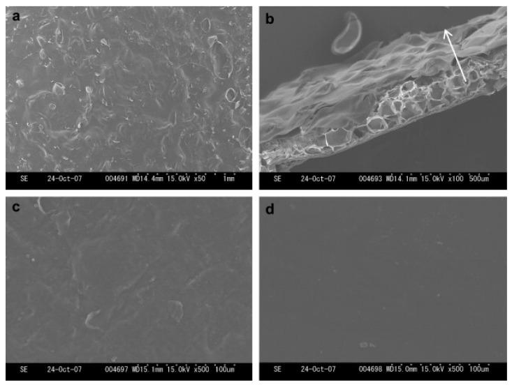 https://cdn.ncbi.nlm.nih.gov/pmc/blobs/d71f/8471968/f7ec345b171e/nanomaterials-11-02401-g005.jpg