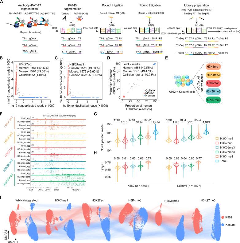 https://cdn.ncbi.nlm.nih.gov/pmc/blobs/d720/10796078/9b61ac8e9a97/sciadv.adi3664-f2.jpg