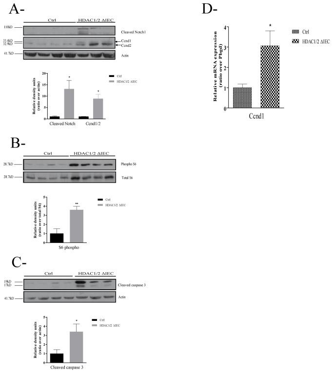 https://cdn.ncbi.nlm.nih.gov/pmc/blobs/d724/3764035/6db0b9089782/pone.0073785.g005.jpg