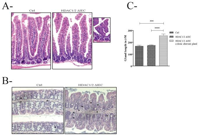 https://cdn.ncbi.nlm.nih.gov/pmc/blobs/d724/3764035/772fb374f6f2/pone.0073785.g002.jpg