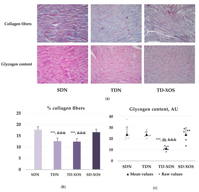 https://cdn.ncbi.nlm.nih.gov/pmc/blobs/d725/11432573/0d5a233a245c/ijms-25-10027-g003.jpg