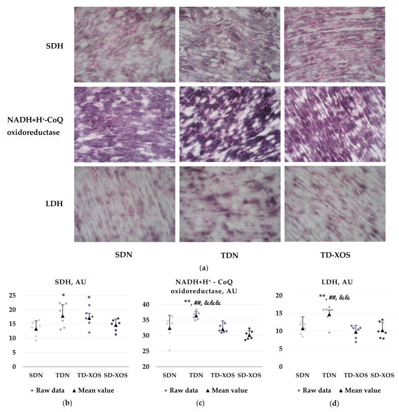 https://cdn.ncbi.nlm.nih.gov/pmc/blobs/d725/11432573/0f20d4bea8f1/ijms-25-10027-g002.jpg