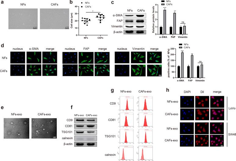 https://cdn.ncbi.nlm.nih.gov/pmc/blobs/d728/7789760/3c54ffb866ea/12967_2020_2648_Fig1_HTML.jpg