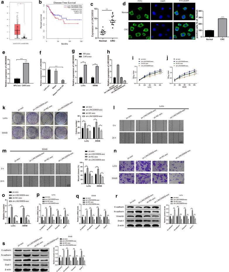 https://cdn.ncbi.nlm.nih.gov/pmc/blobs/d728/7789760/50f510b8f608/12967_2020_2648_Fig3_HTML.jpg