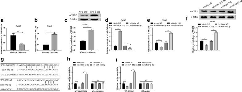 https://cdn.ncbi.nlm.nih.gov/pmc/blobs/d728/7789760/d9d755d26d4c/12967_2020_2648_Fig4_HTML.jpg