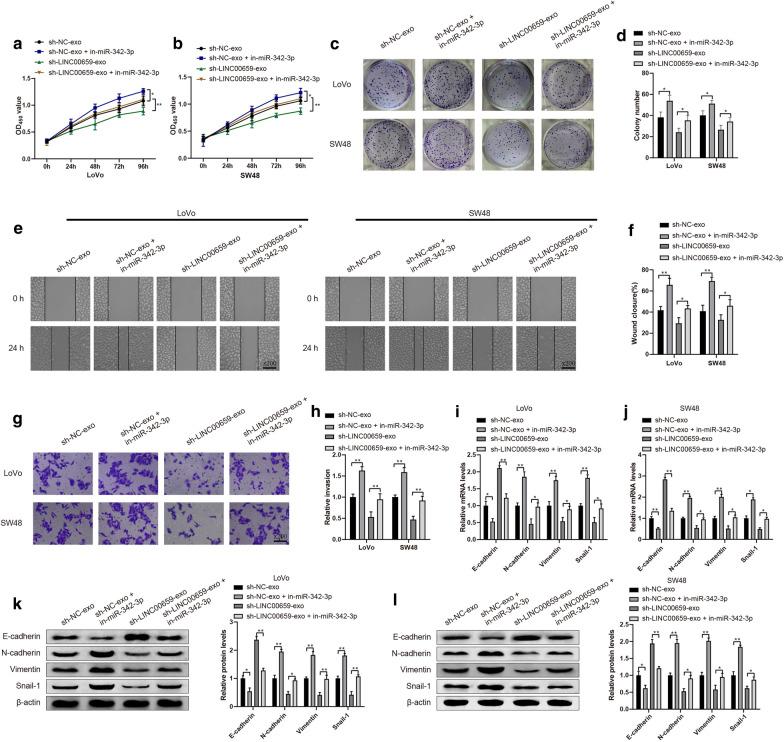 https://cdn.ncbi.nlm.nih.gov/pmc/blobs/d728/7789760/ff837a68c867/12967_2020_2648_Fig5_HTML.jpg