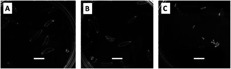 https://cdn.ncbi.nlm.nih.gov/pmc/blobs/d728/9382653/4bdd16f83e83/d2ra03314c-f6.jpg